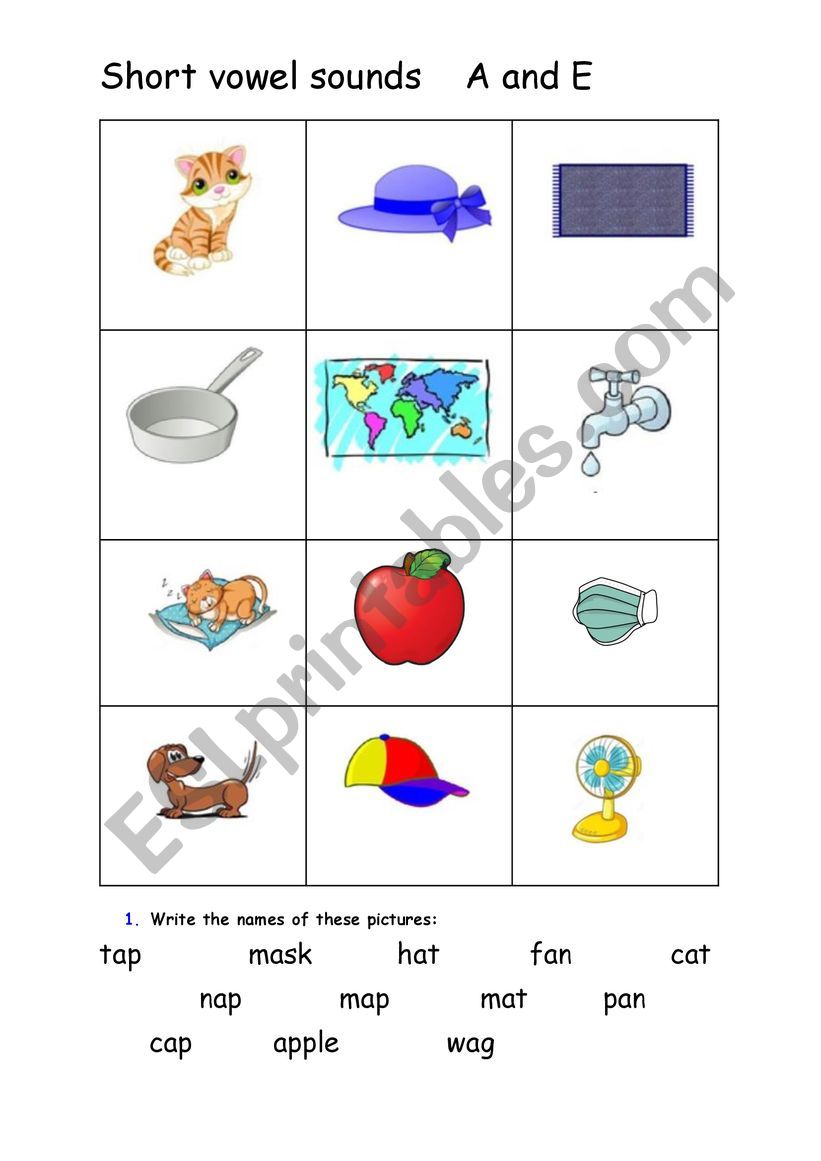 Short A and Short E words worksheet