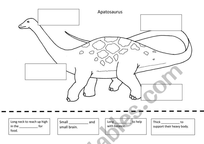 Label the apatosaurus worksheet