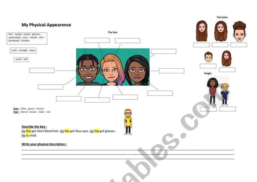 Physical apperance worksheet