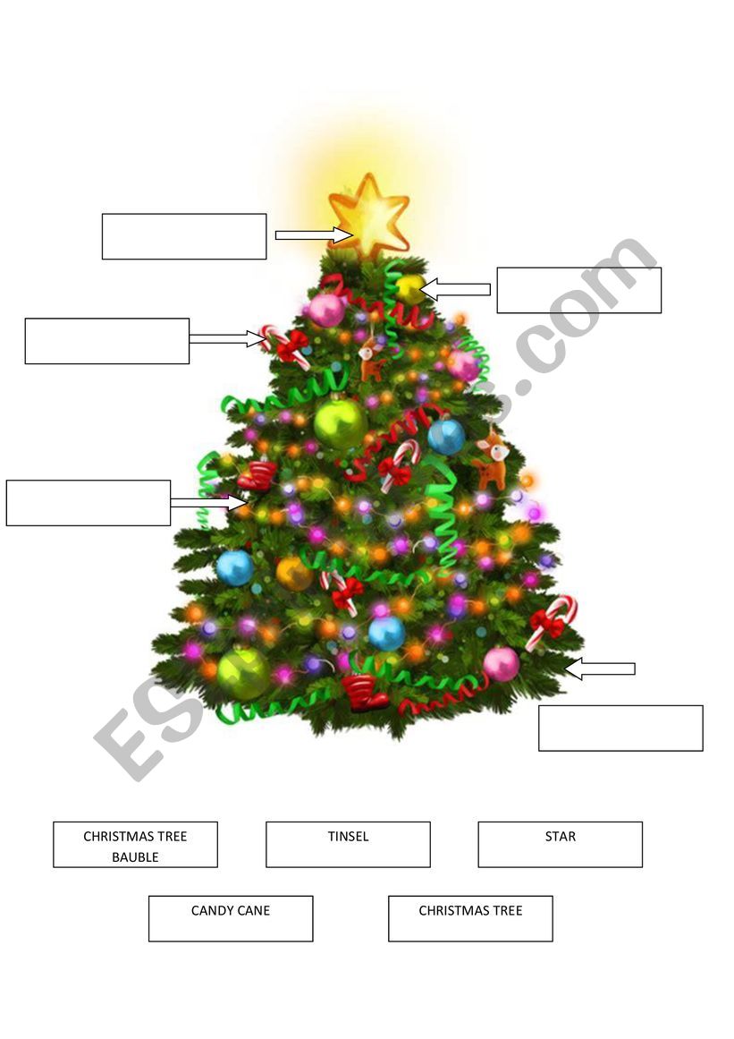 Christmas tree vocabulary worksheet