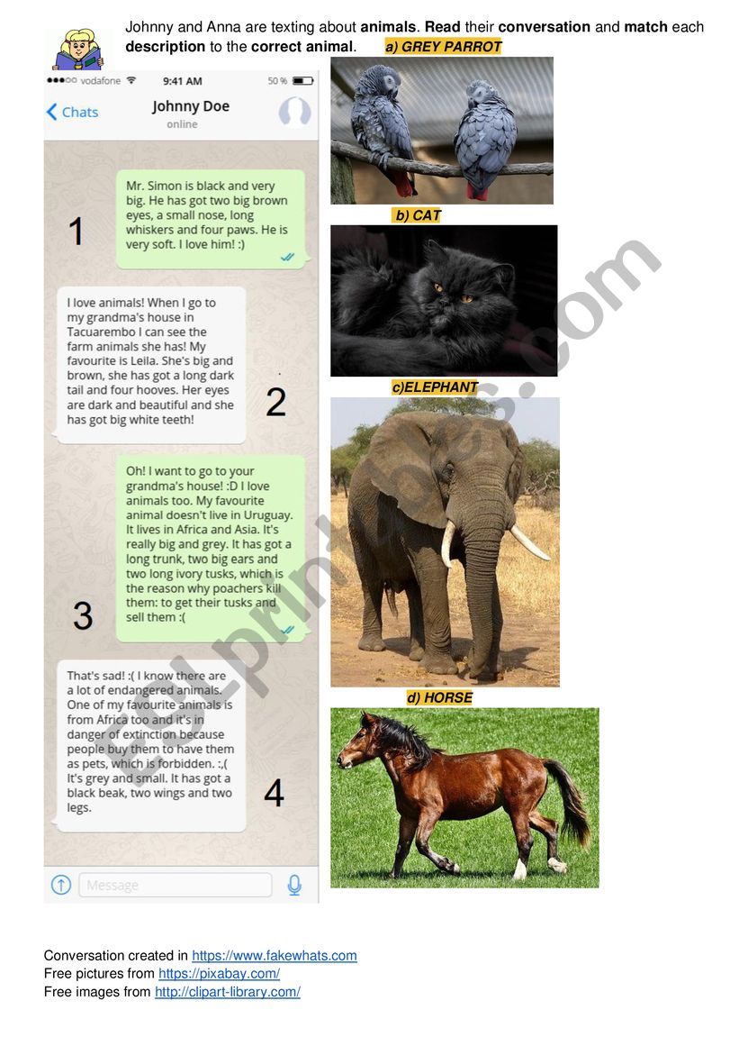 Animals worksheet