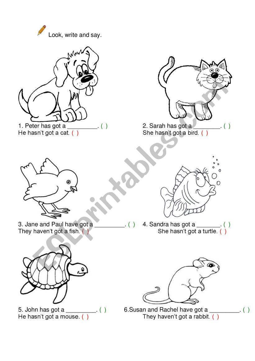 Animals /Pets - ESL worksheet by VCatarina