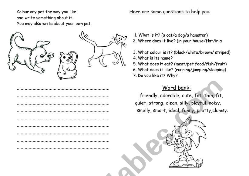 My pet worksheet