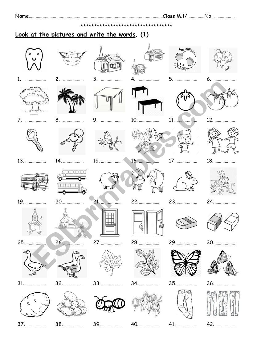 Singular and Plural 1 - ESL worksheet by nuann