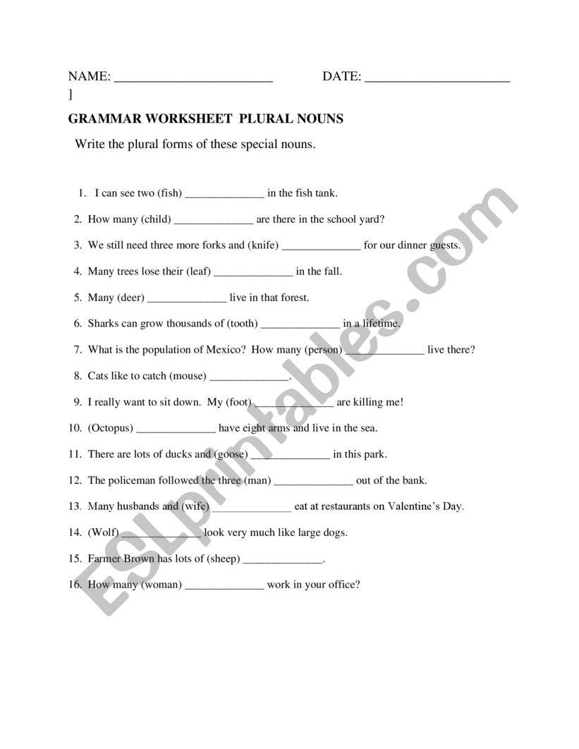 Irregular Plura worksheet