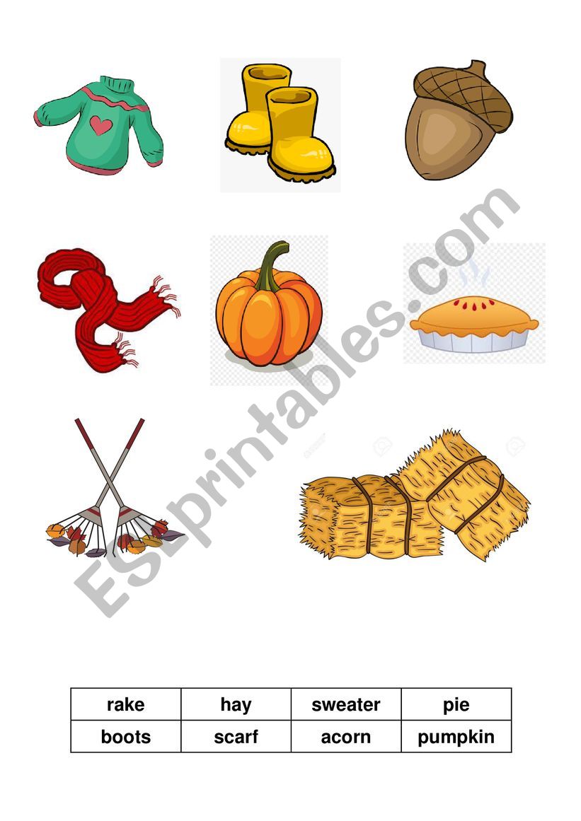 Autumn vocabulary for kids worksheet