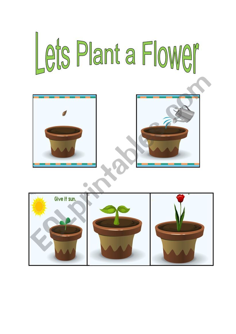 Lets Plant a Flower worksheet