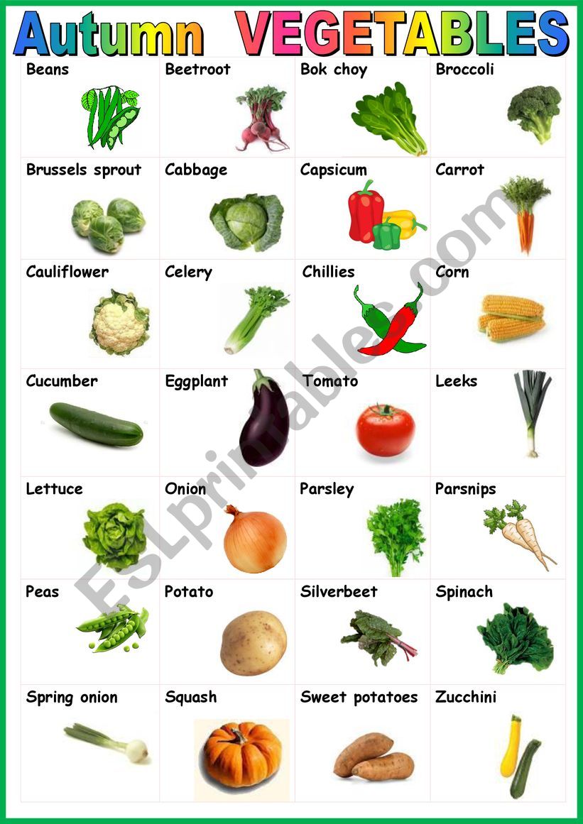 Autumn vegetables. Poster - ESL worksheet by karagozian