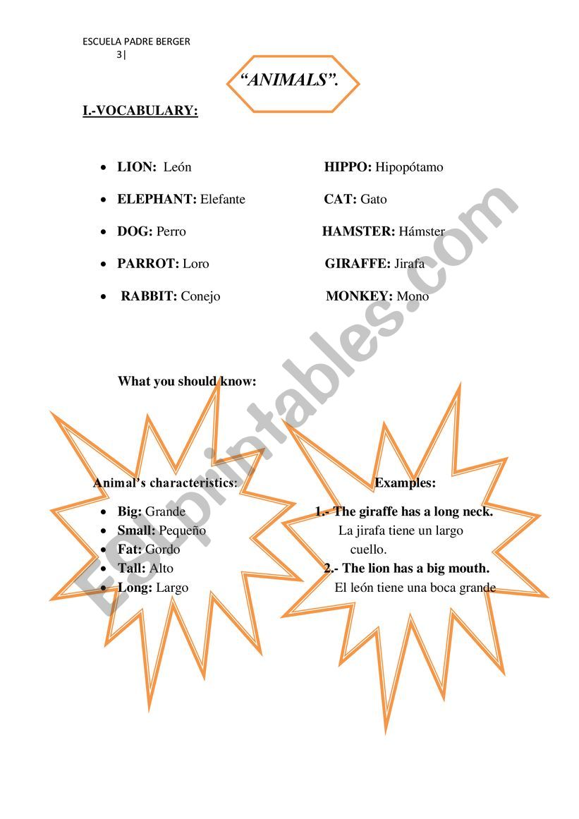 animals  worksheet