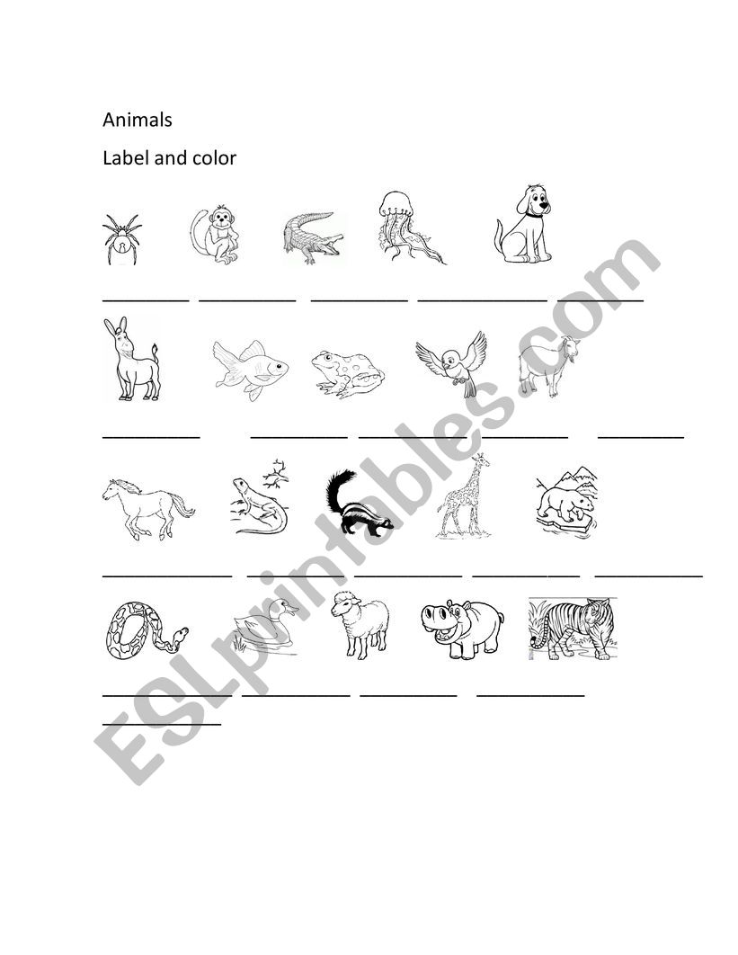 ANIMALS worksheet