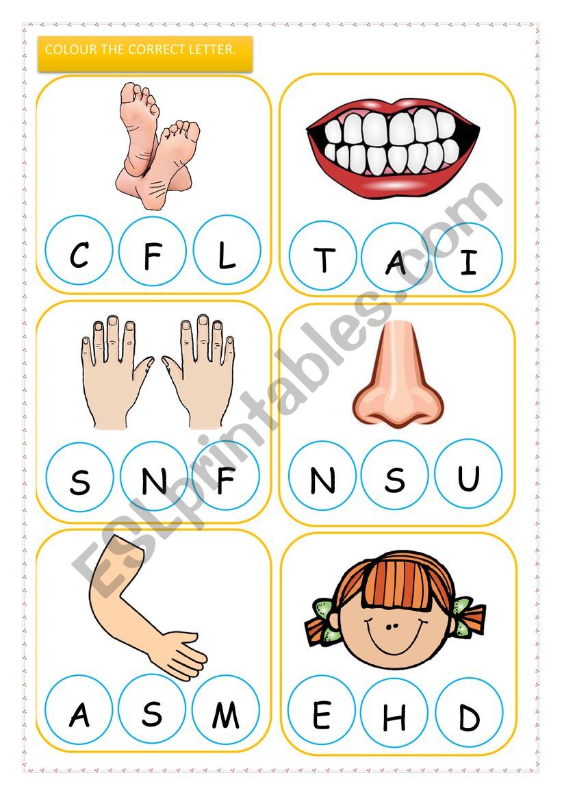 Parts of the BODY  Initial letter - KIDS