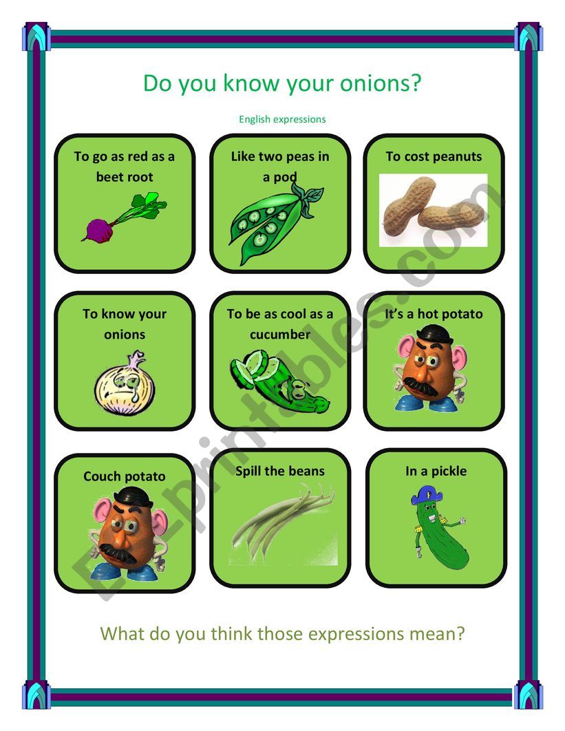 do you know your onions? worksheet