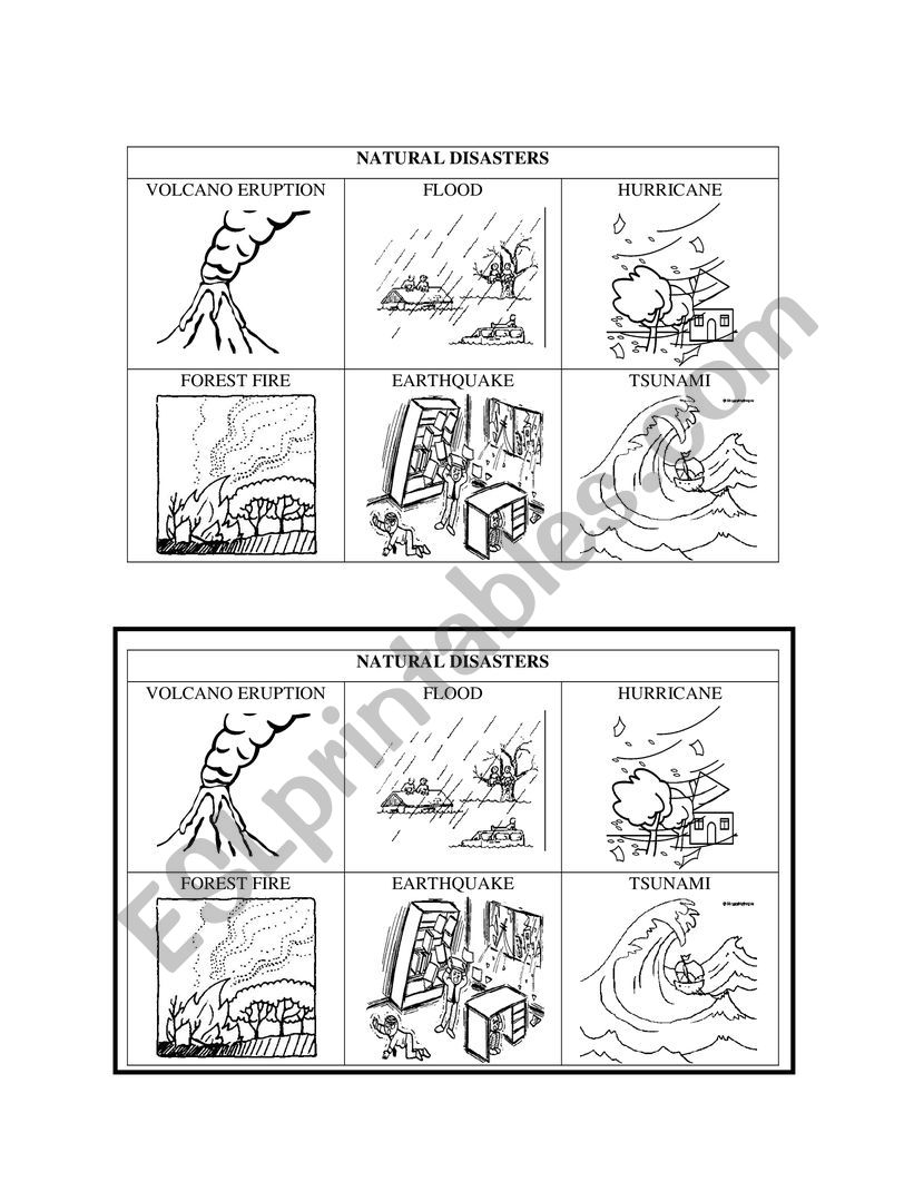 Natural disasters worksheet