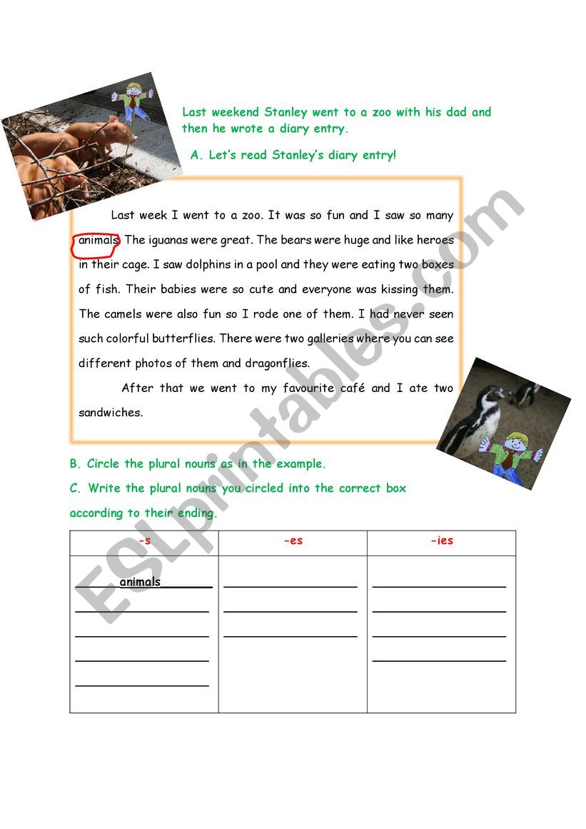 Plurals worksheet