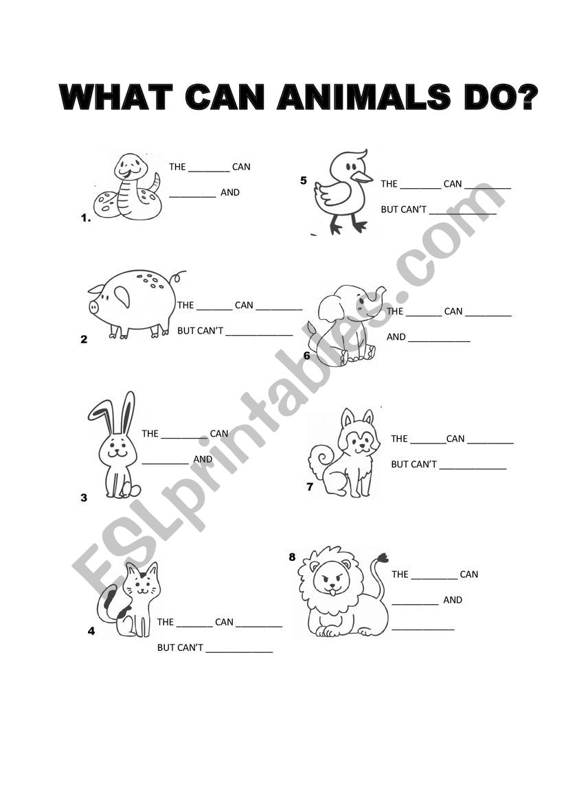 WHAT CAN THE ANIMALS DO? worksheet