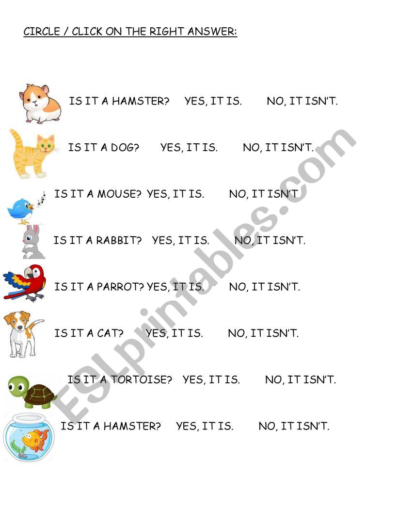 PETS worksheet