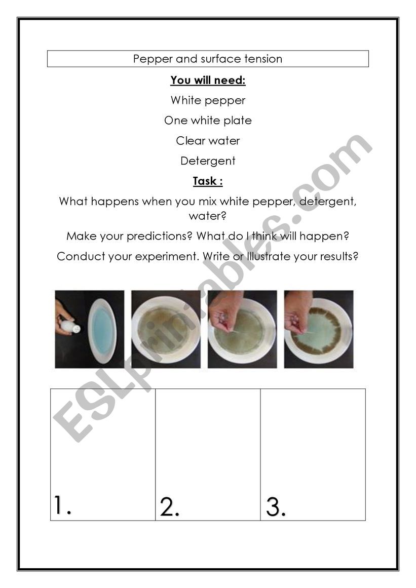 Pepper and surface tension worksheet