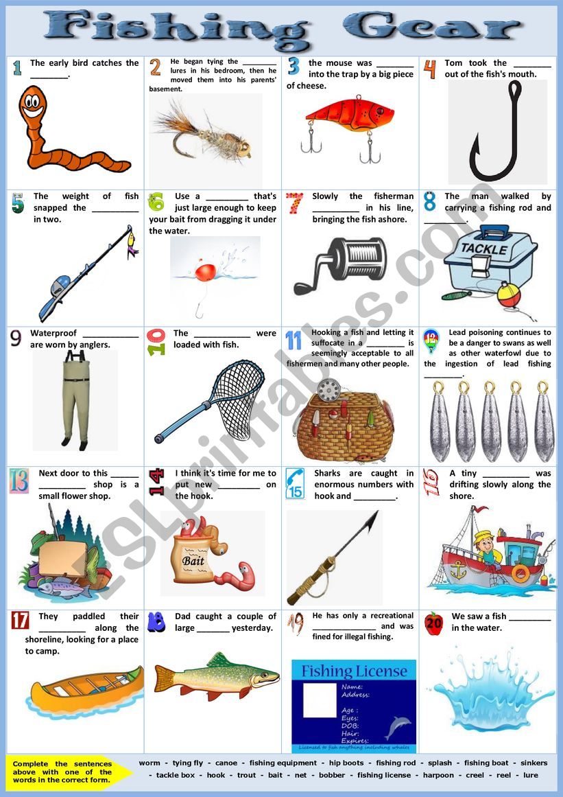 Fishing Gear Completing Sentences KEY ESL Worksheet By Karagozian