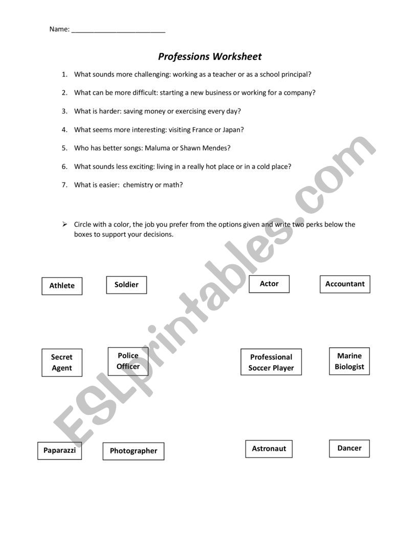 Professions Worksheet worksheet