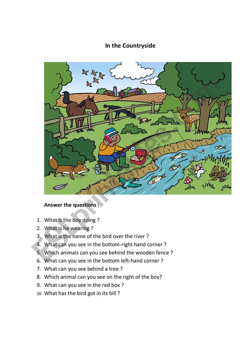 English Worksheet In The Countryside Picture Dictionary Fichas - Reverasite