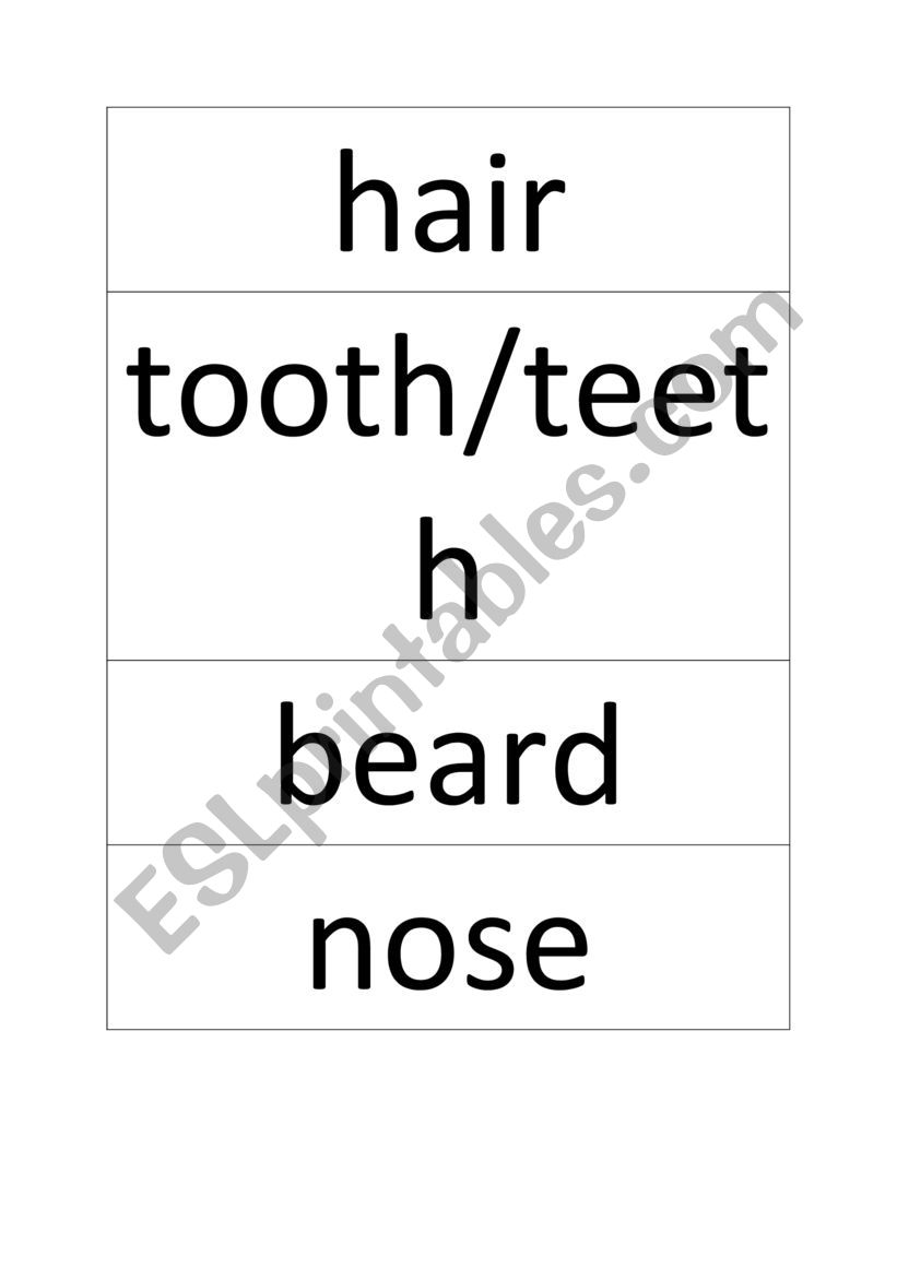 Vocabulary cards - body parts worksheet