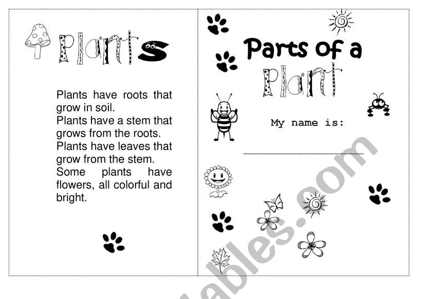 plants esl worksheet by rossman2