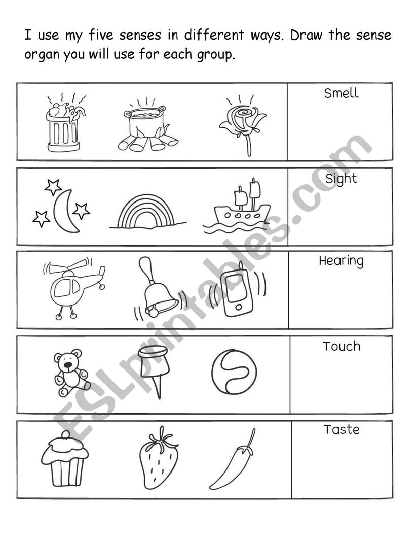 Hand Drawn Five Human Sense Illustration With Doodle Line Art Style Royalty  Free SVG, Cliparts, Vectors, and Stock Illustration. Image 141666866.