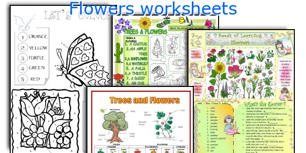Flowers worksheets