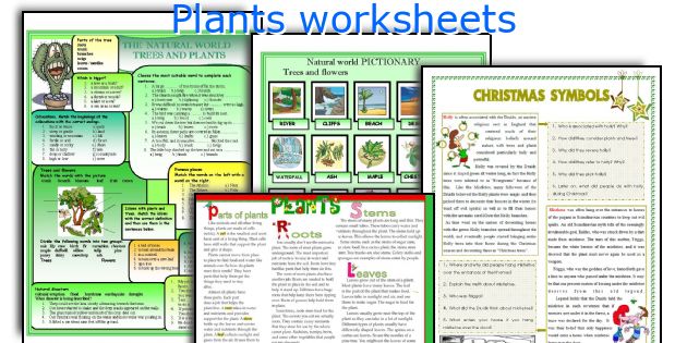 Plants worksheets
