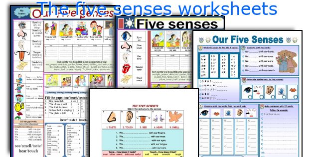 The five senses worksheets
