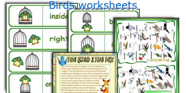Birds worksheets